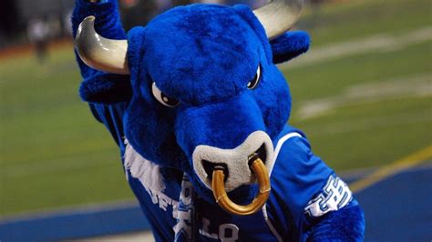 From Paper to Mascot costume: The Art of Creating a Bully Buffalo Mascot Design